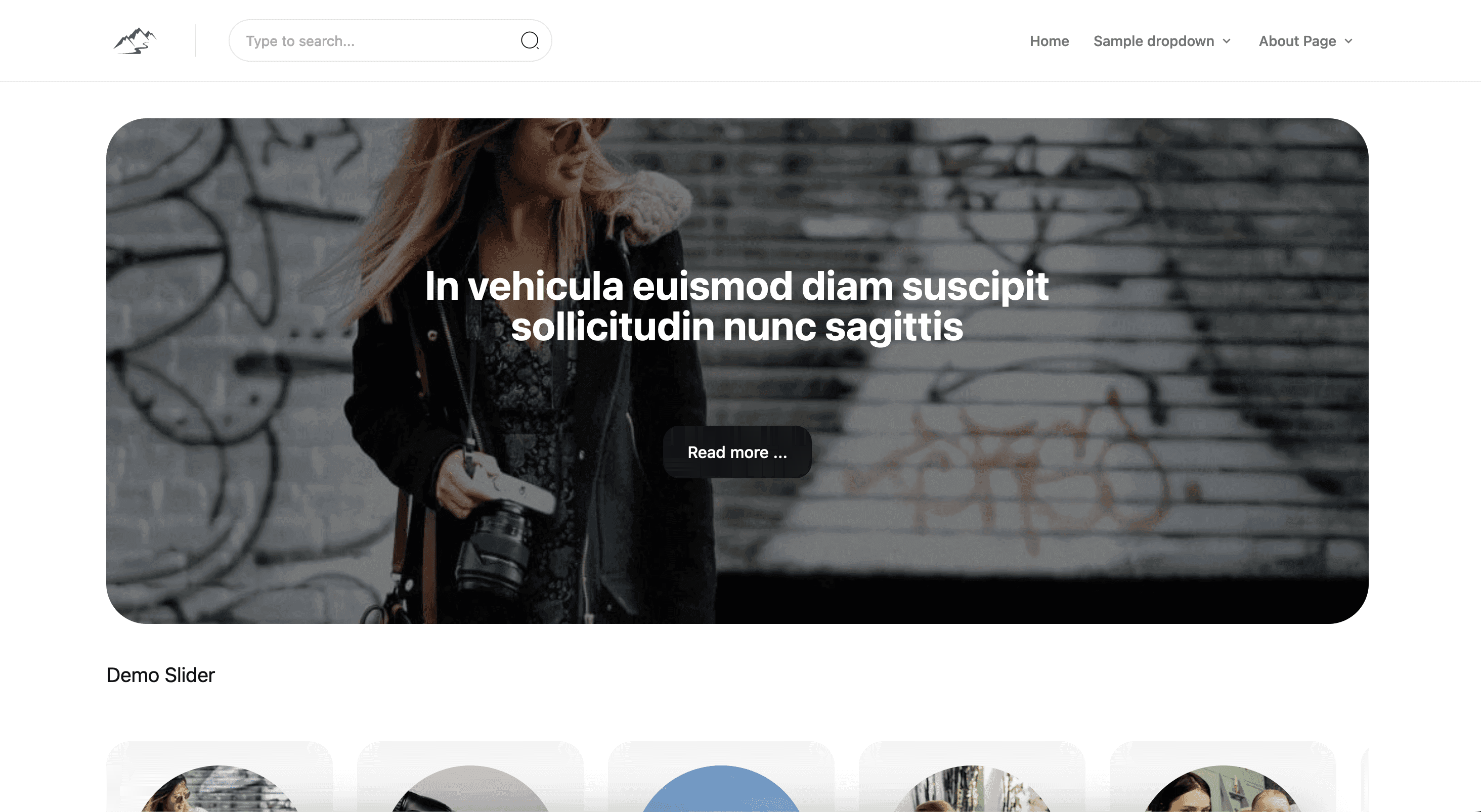 Headless Wordpress and Next.js theme (Upwork task)